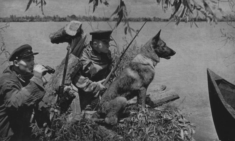 Советские пограничники, 20 июня 1941 года.