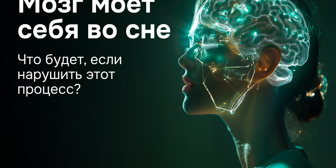 Мозг моет себя во сне. Что будет, если нарушить этот процесс?
