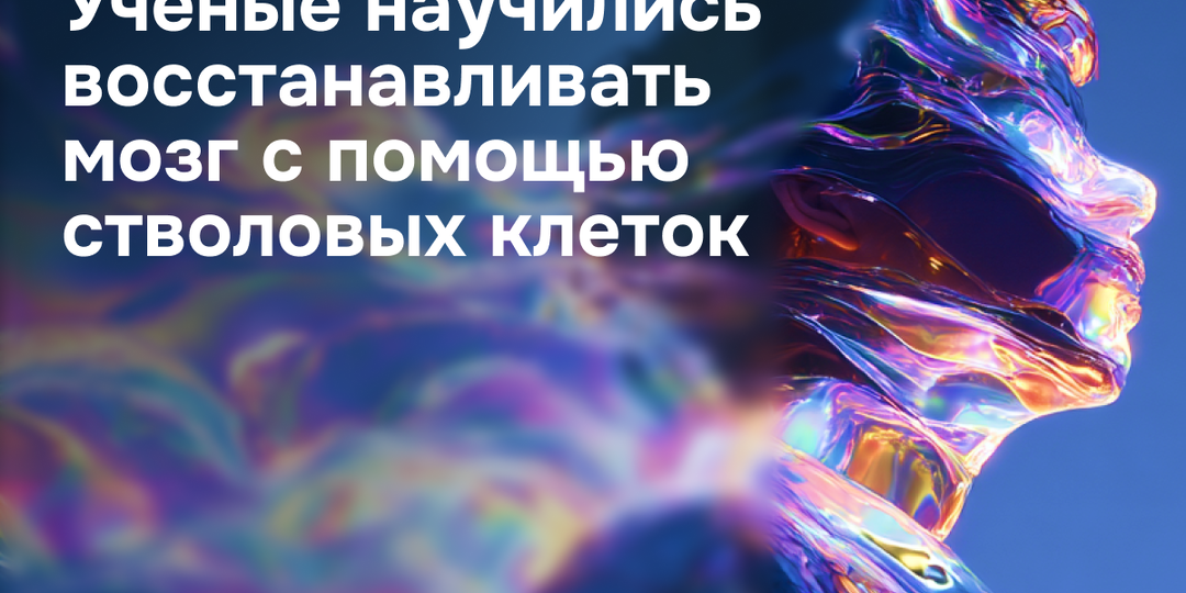 Ученые научились восстанавливать мозг с помощью стволовых клеток
