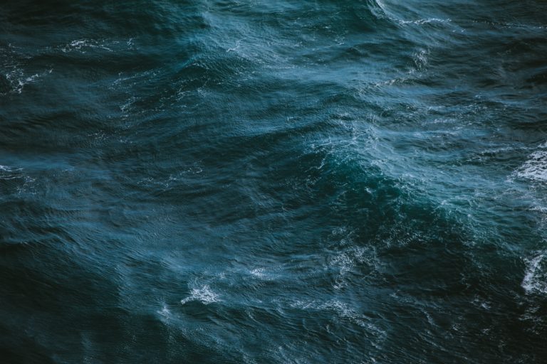    Фото: unsplash.com Илья Федоров