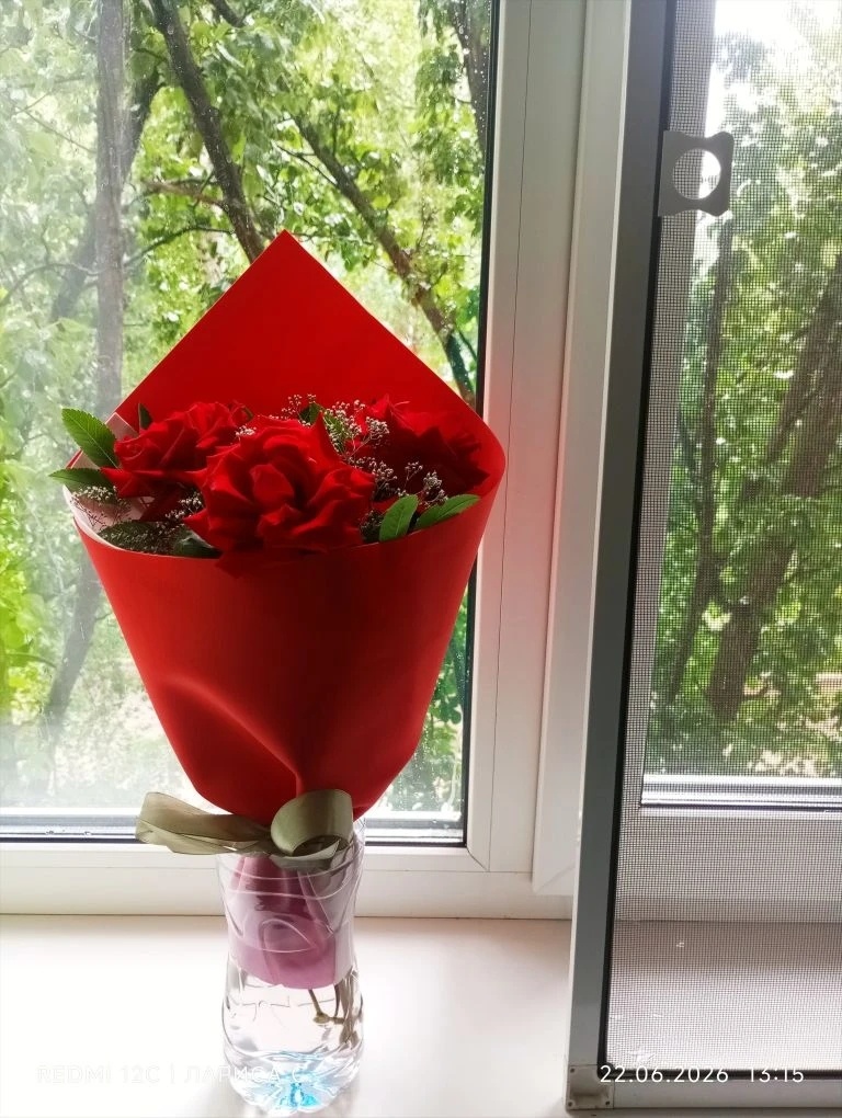 Вазы нет. Обрезала бутылку 1,5 литровую.