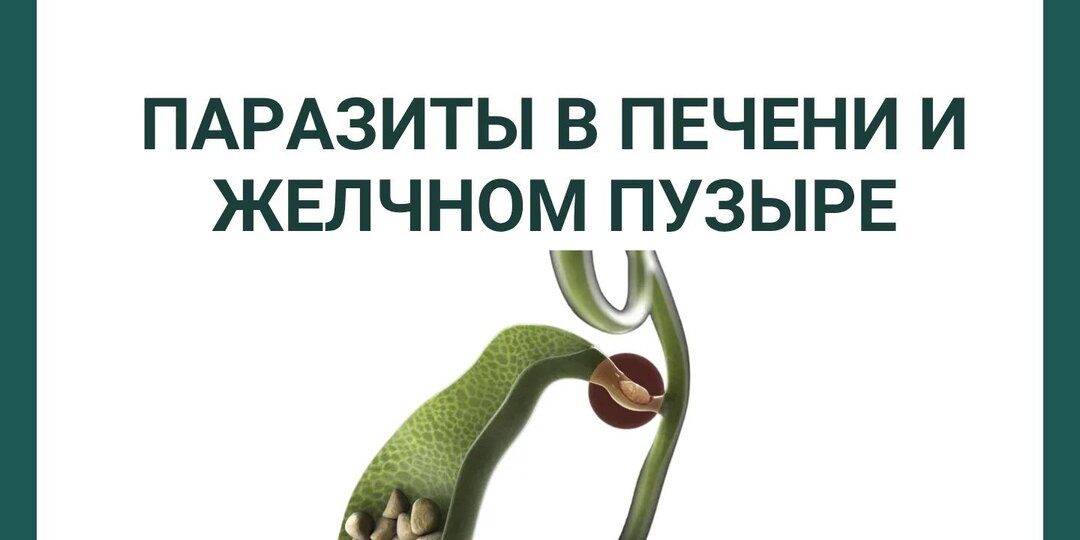 Паразиты в печени и жёлчном пузыре: кто живёт, чем опасен и как защититься