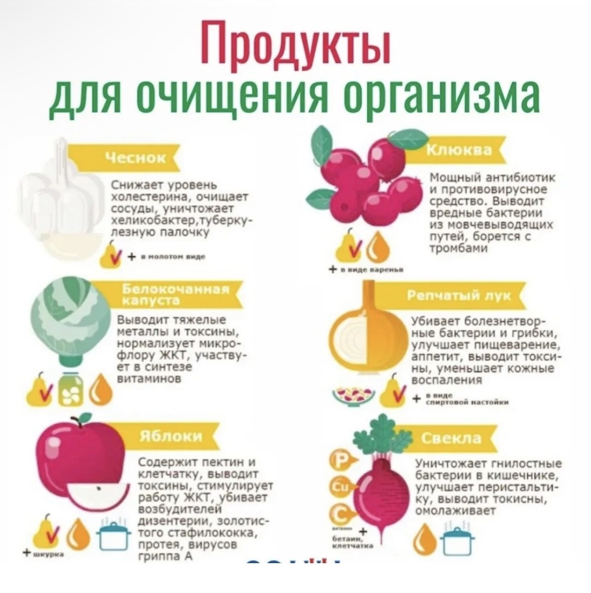 https://isakly.mz63.ru/about/news/25741?PAGEN_1=24