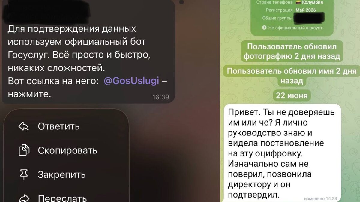 Скриншоты предоставлены читателем «Новой Сибири».  📷
