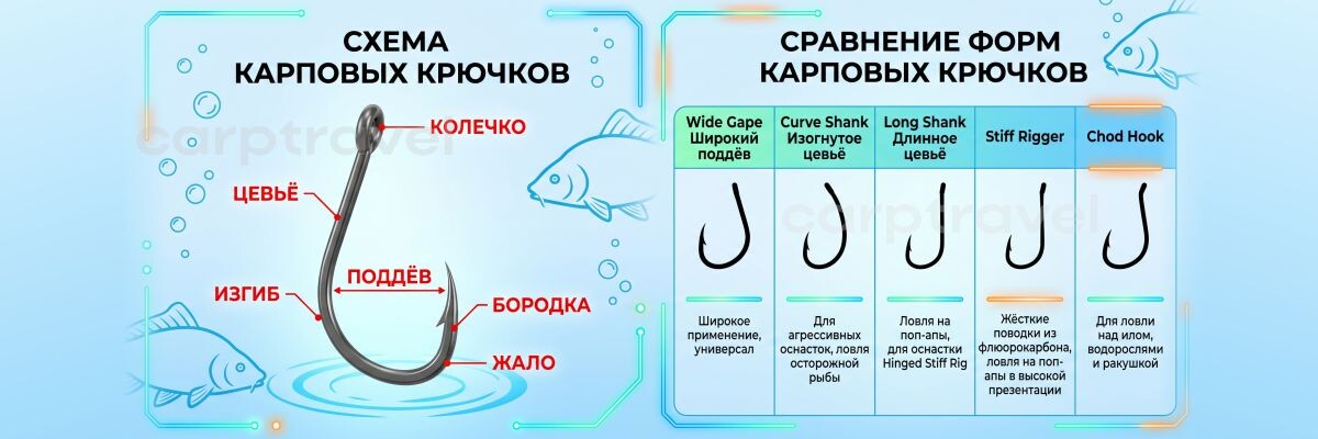Анатомия карпового крючка: учимся читать форму