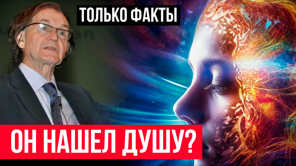 Место в мозге, где может быть душа (сознание). И при чем тут квантовая физика. Только факты