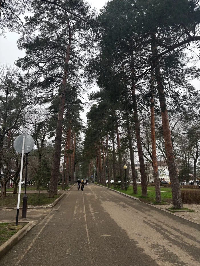   Фото: автора