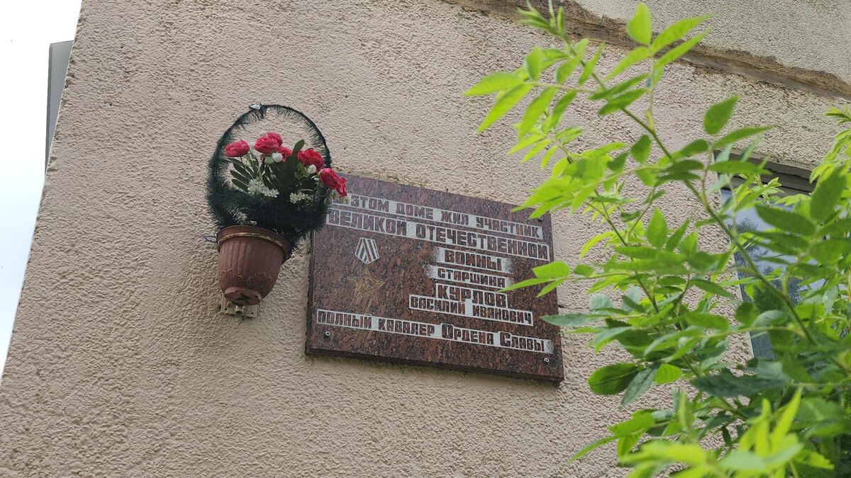     REGIONS / Кристина Ларина