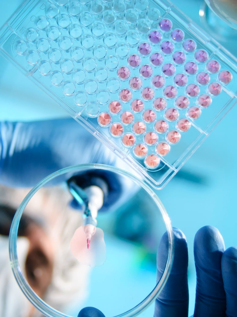 ФОТО: AI-GENERATED IMAGE. ISTOCKPHOTO.COM
