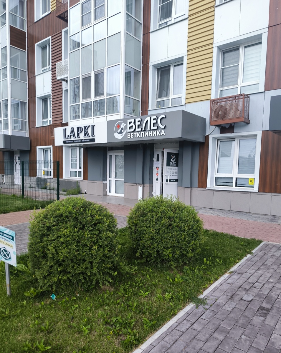 Все фотографии в статье авторские