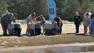    Фото: администрация Санкт‑Петербурга