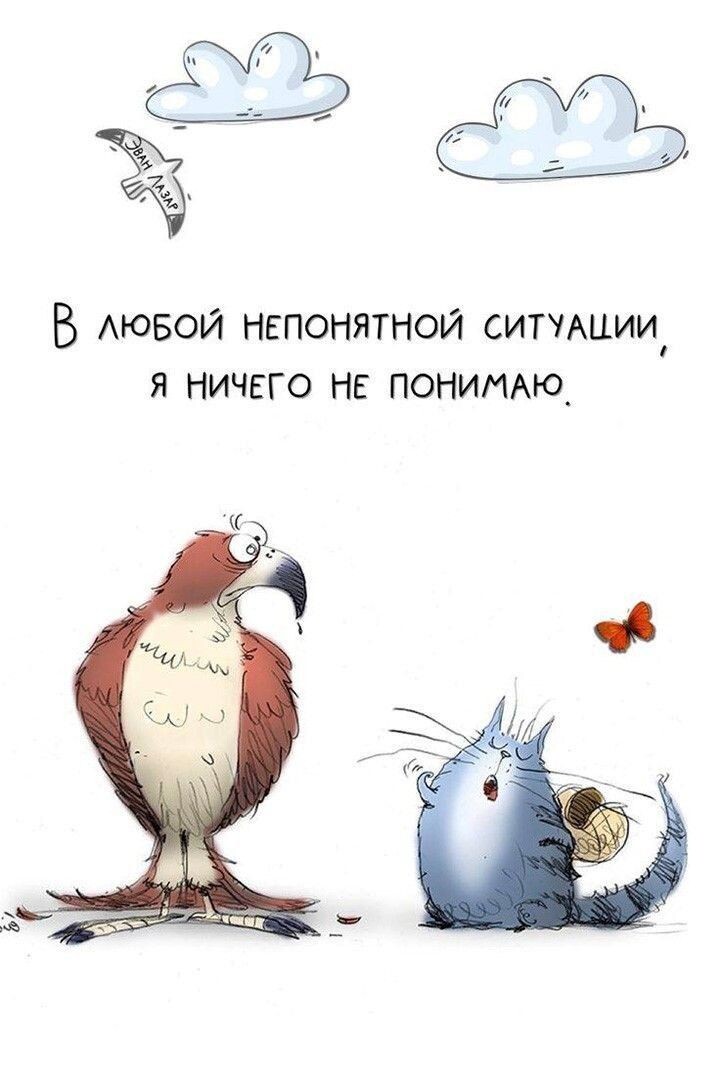 Pintrest