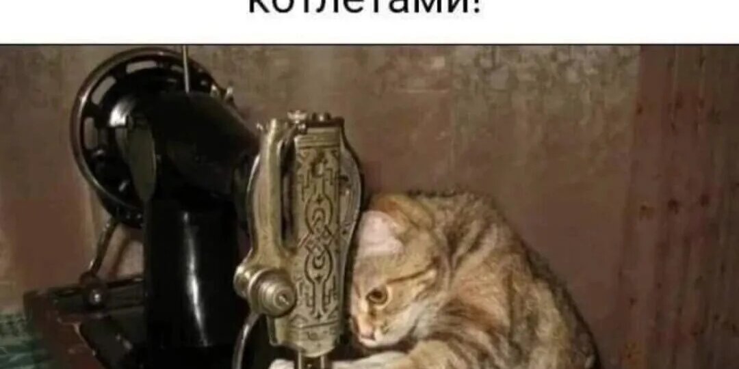 Сборная России сделает все возможное, чтобы выиграть Олимпиаду. Страшная сказка на ночь