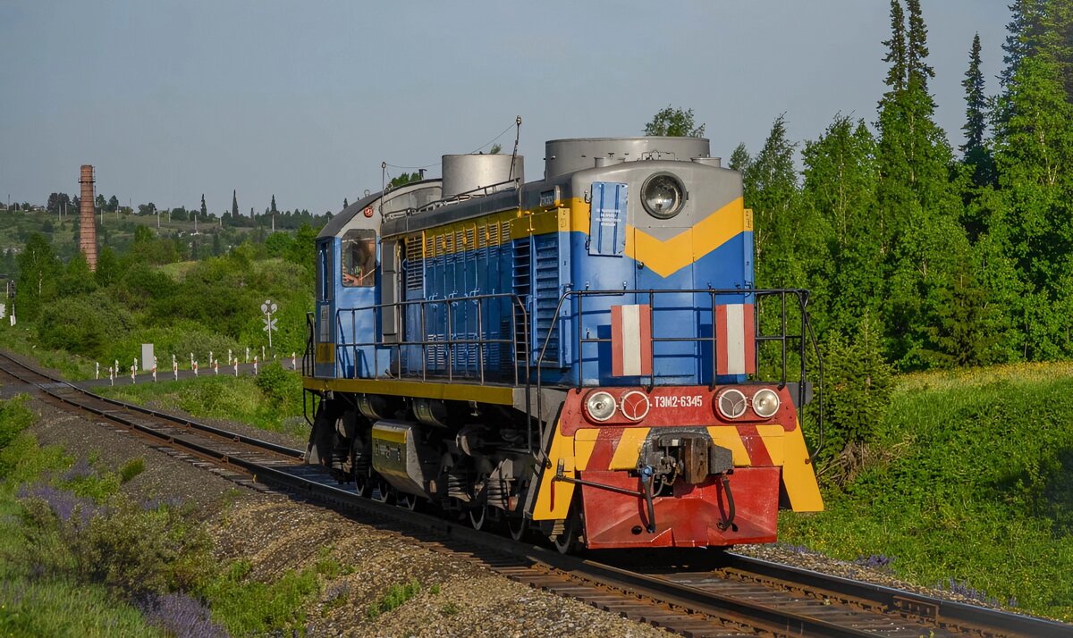 ТЭМ2-6345. Россия, Кемеровская область, ОАО «Северокузбасское ПТУ», перегон Бирюлинская - Первомайская. Автор: N_U_Jl_Ь_. Дата: 9 июня 2016 г.