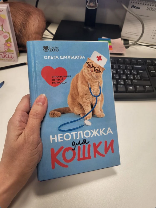 Цвет обложки будет другой, это пробная примерка 