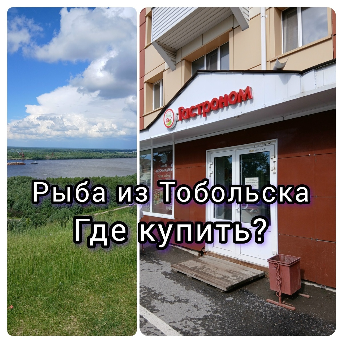 Иртыш. Тобольск. Гастроном на Ремезова. Рыба.
