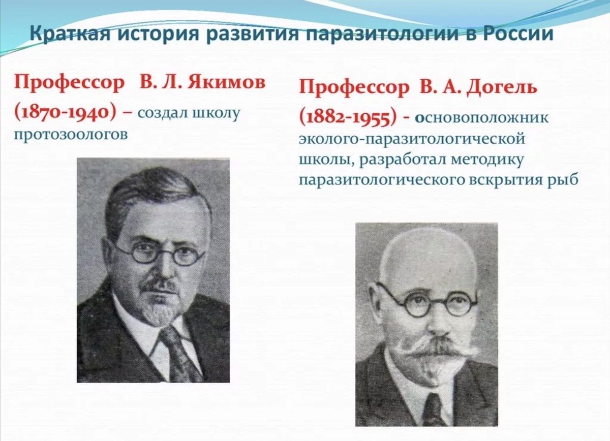 Найдено в Яндекс Картинках по запросу «Институт паразитологии история»