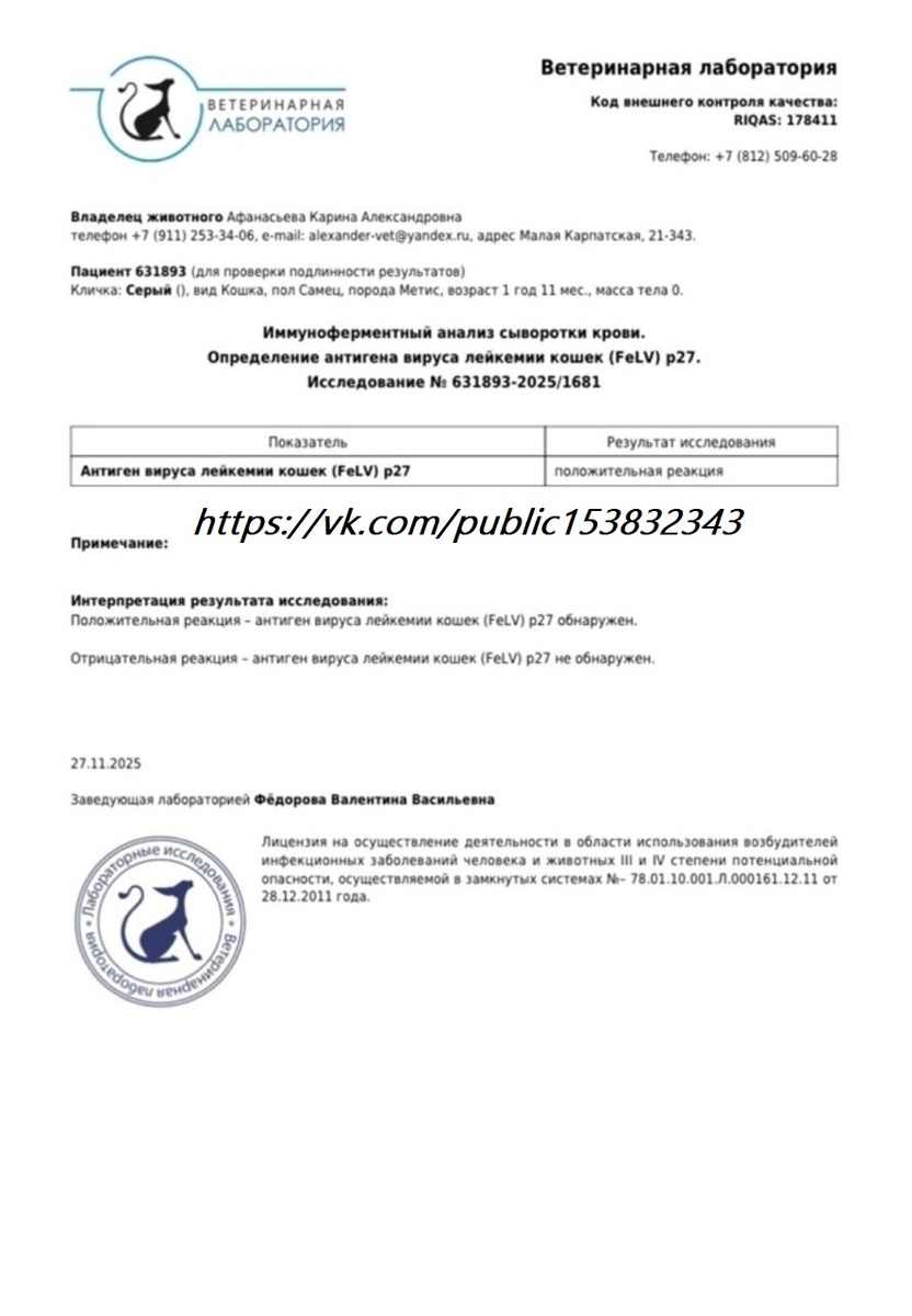 Анализ /Анттиген Лейкоза Сержику.