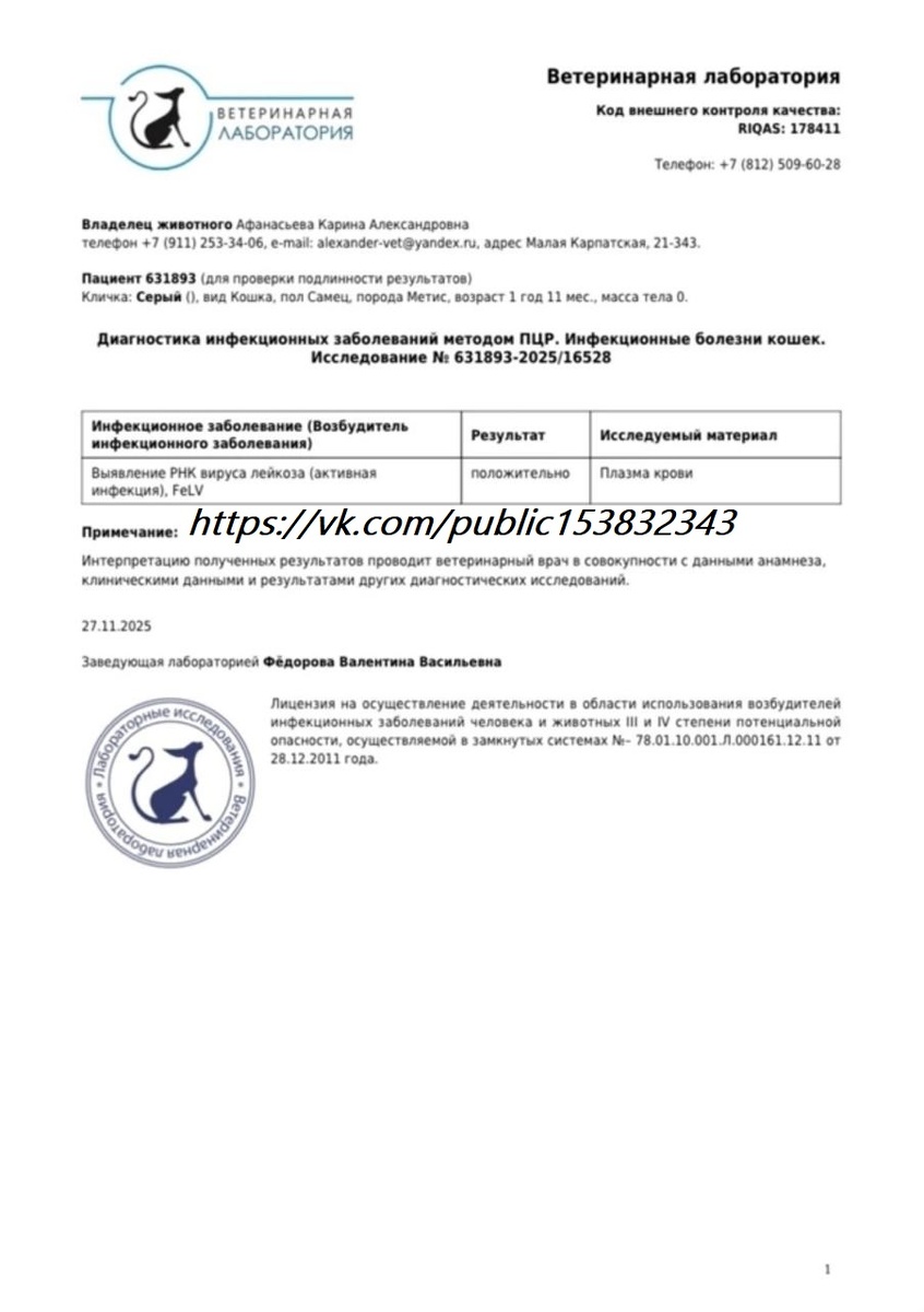 Анализы РНК Лейкоза Сержику.
