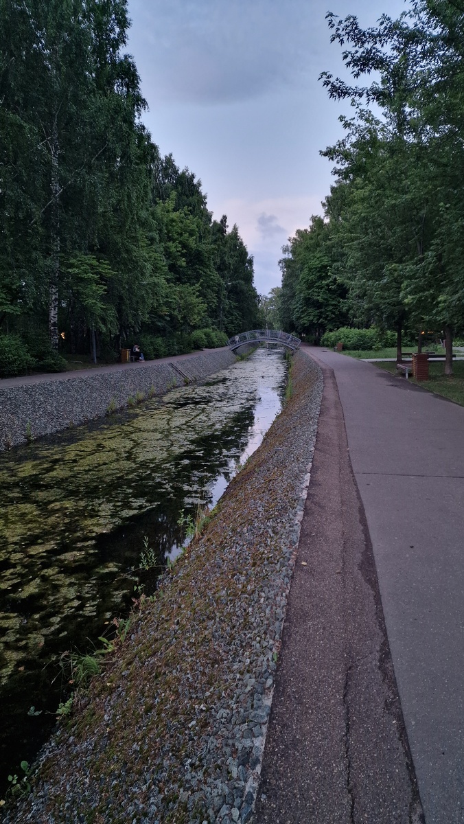 Парк, вода конечно зазеленела. Осенью тут красиво