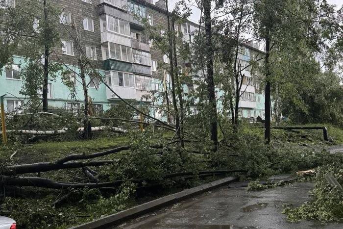 Обложка © Telegram/ Екатеринбург ЧП