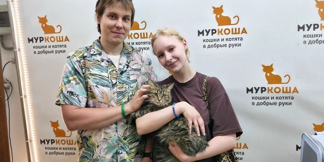 Эти питомцы и не представляли, как выглядит домашняя жизнь