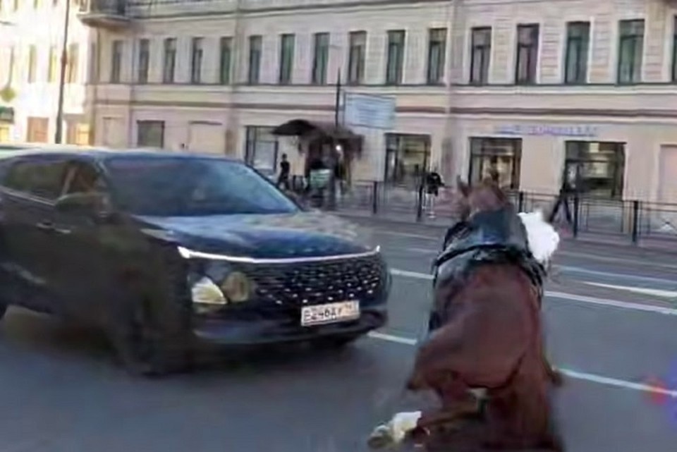    Лошадь даже несколько раз упала. Фото: t.me/Megapolisonline