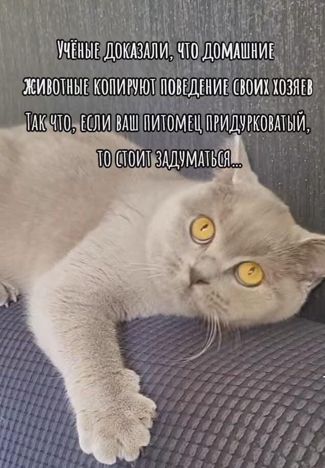 источник Яндекс-картинки