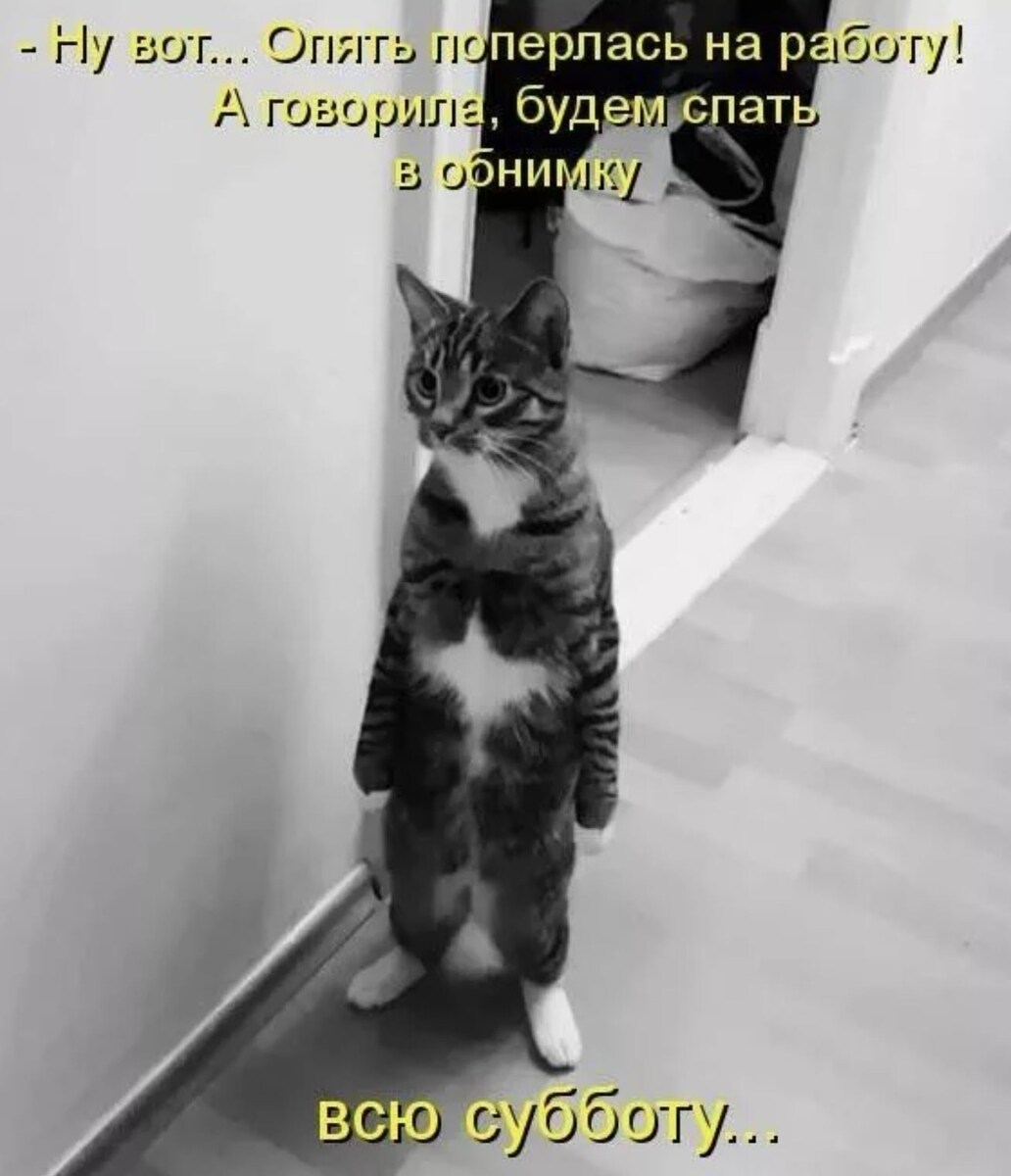 источник Яндекс-картинки