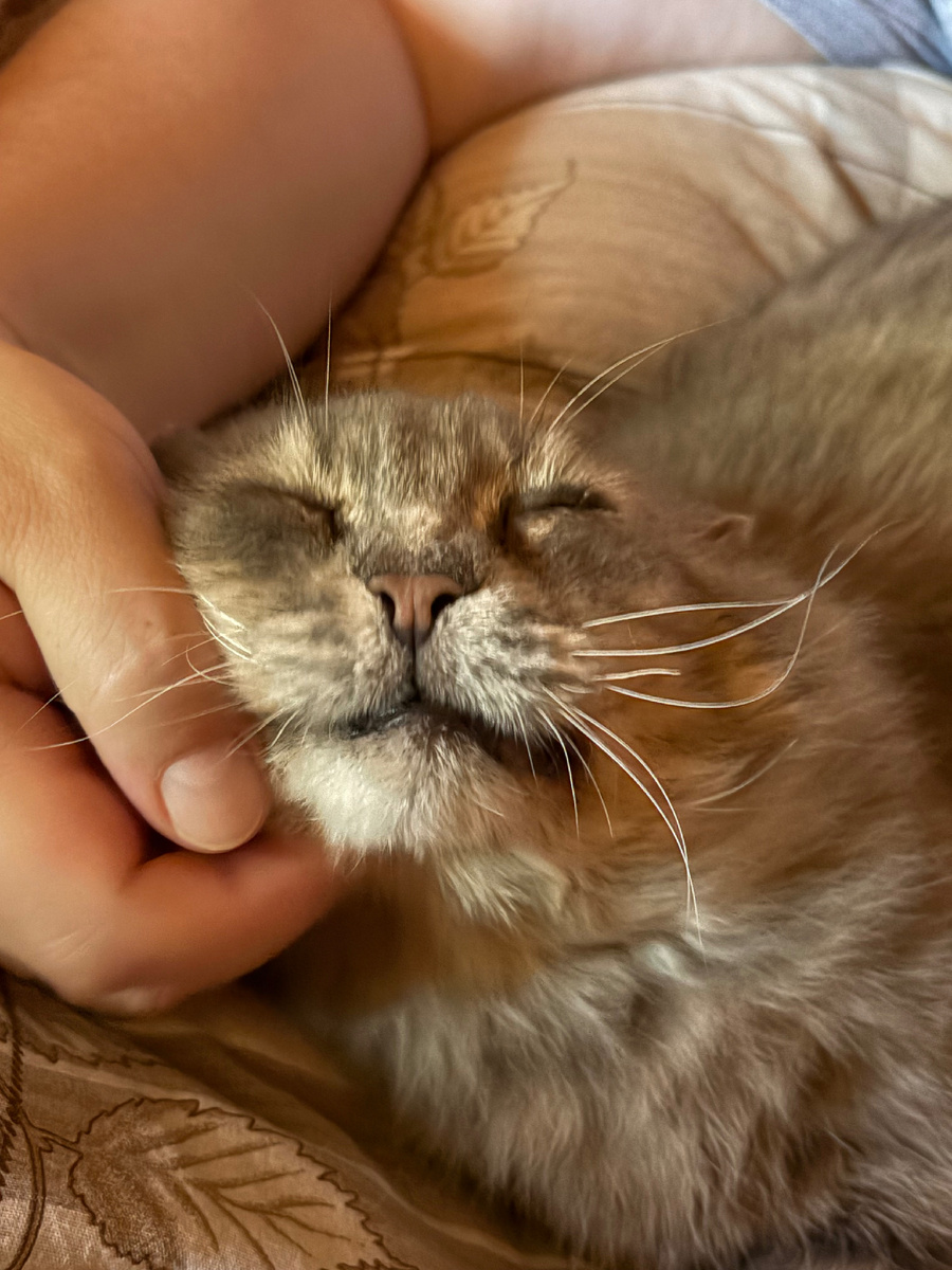 Обнимашки с Главкотом.