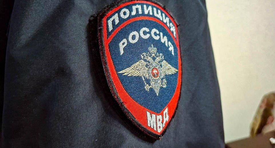    «Подмосковье сегодня»/Юлия Габбасова