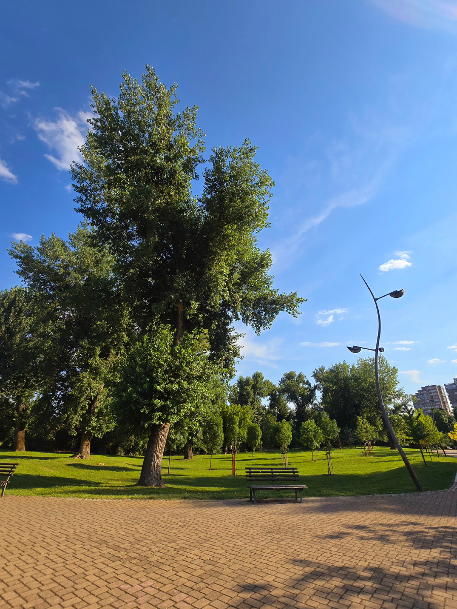 Лиманский парк 