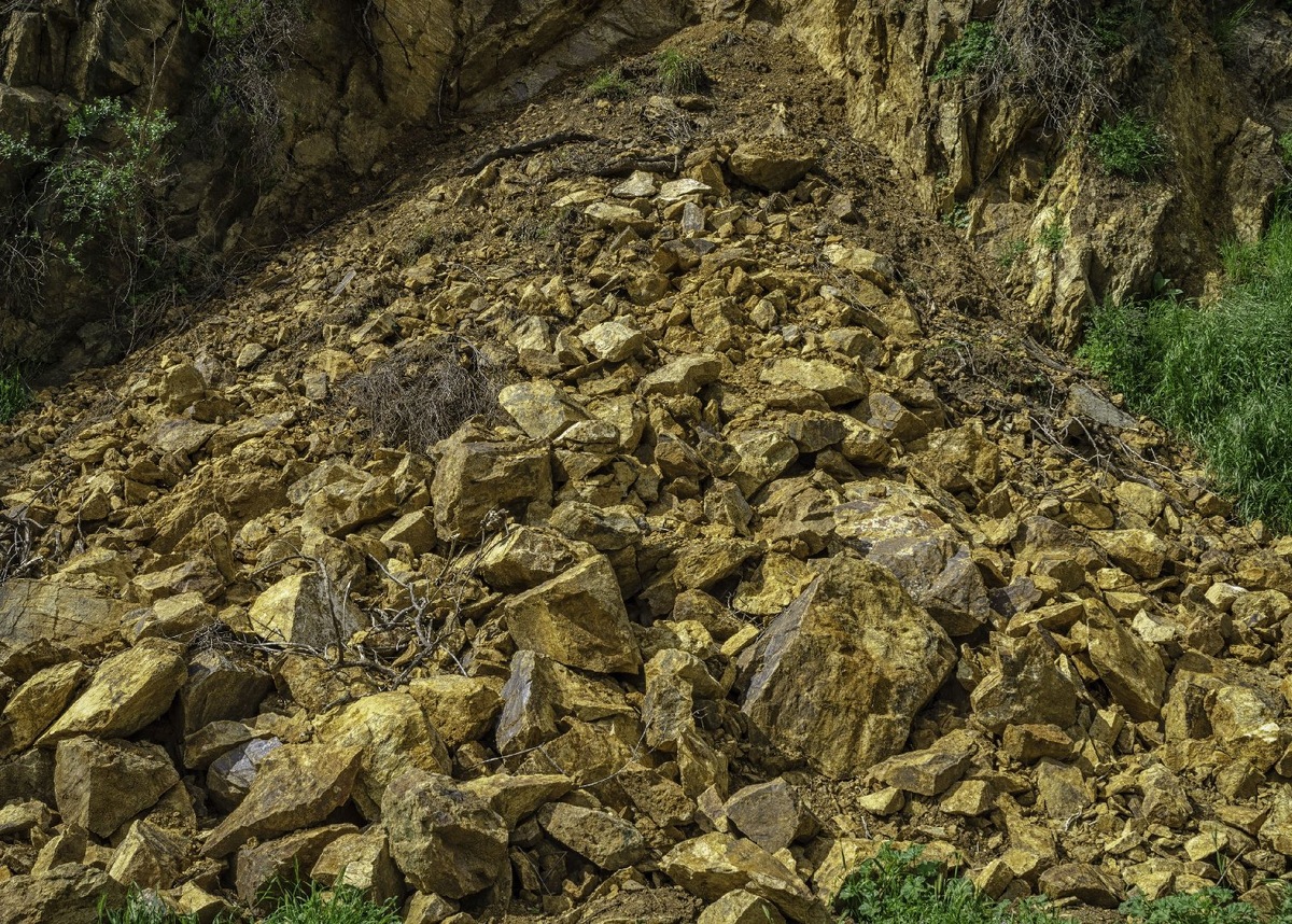    Фото: iStock/GDMatt66