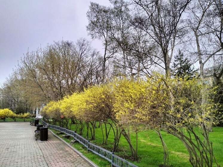     Фото: МК на Сахалине