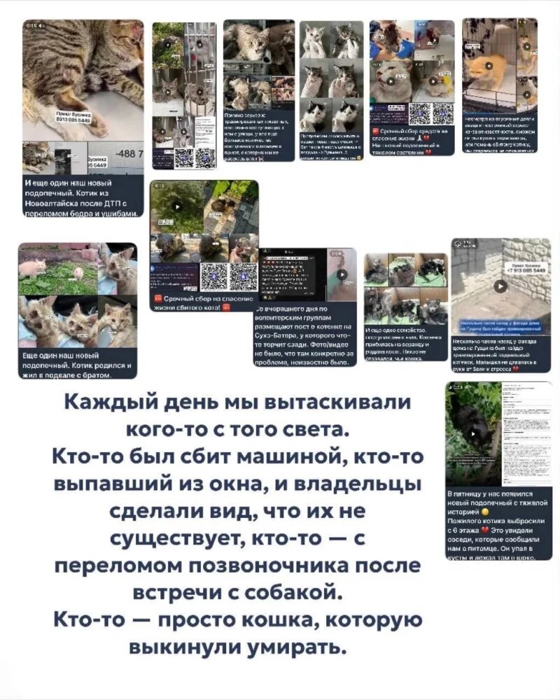 Листайте вправо, чтобы увидеть больше изображений