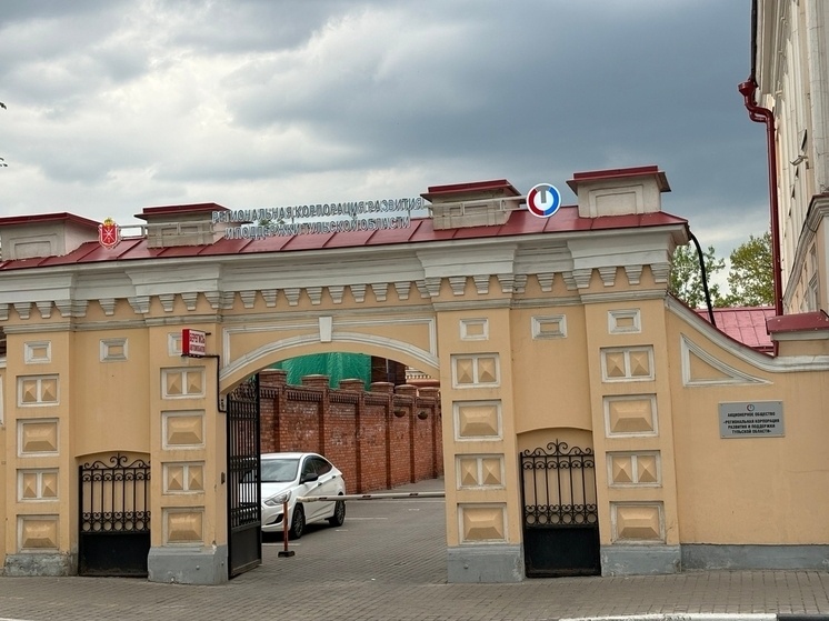     Фото: "МК в Туле"