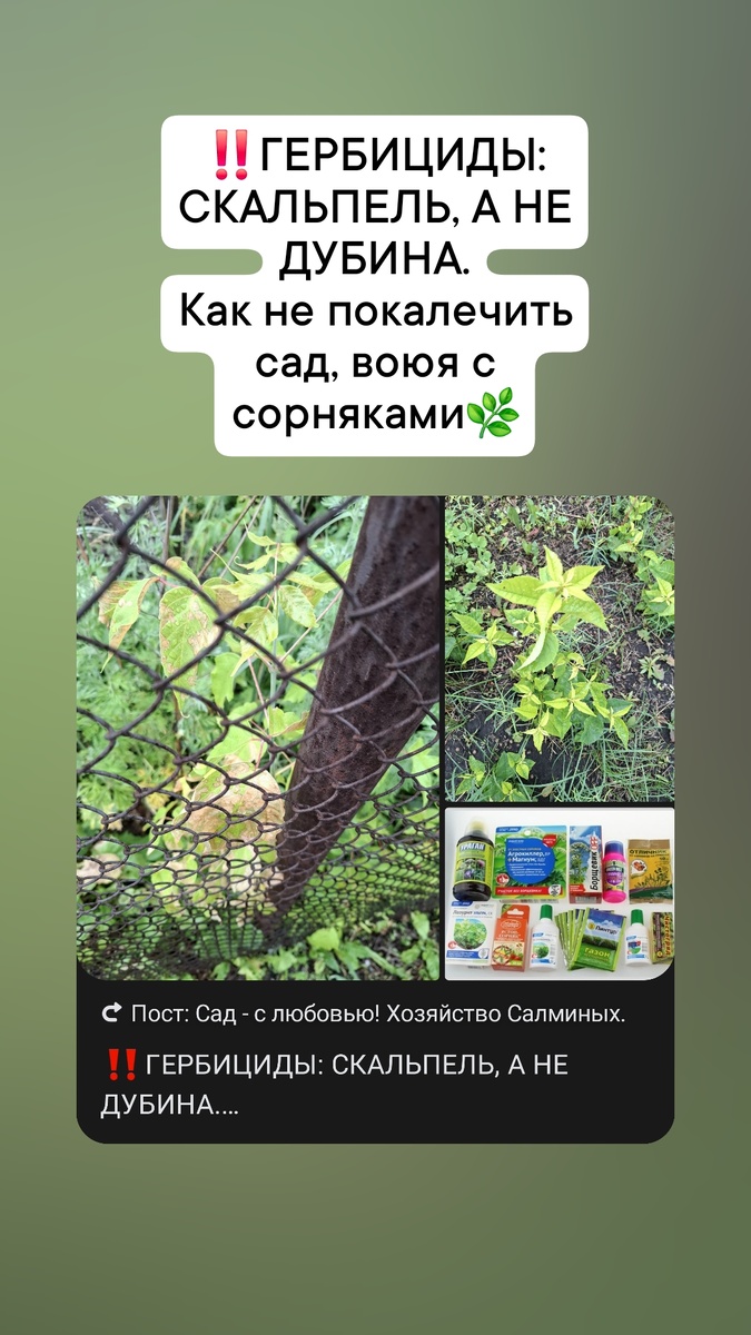 Выбор большой,  но у каждого своё дело!