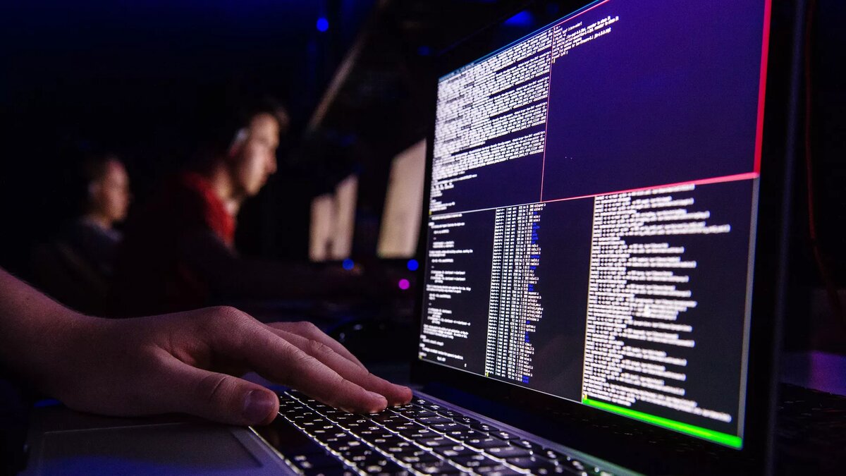 Пользователи за ноутбуками/© Sputnik / Алексей Мальгавко 