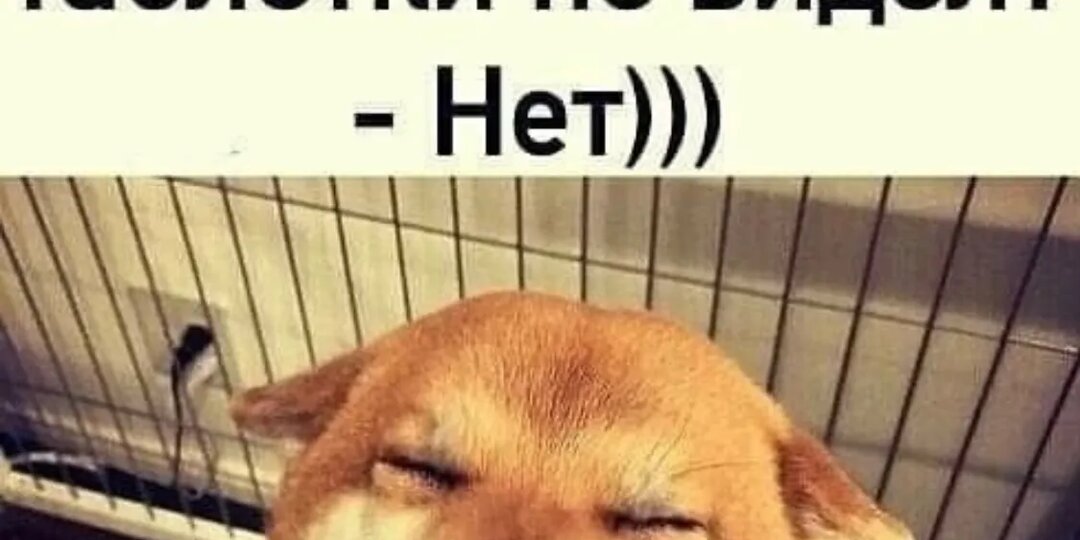 Строили мы строили и наконец построили. А это никому не нужно. Черный не юмор