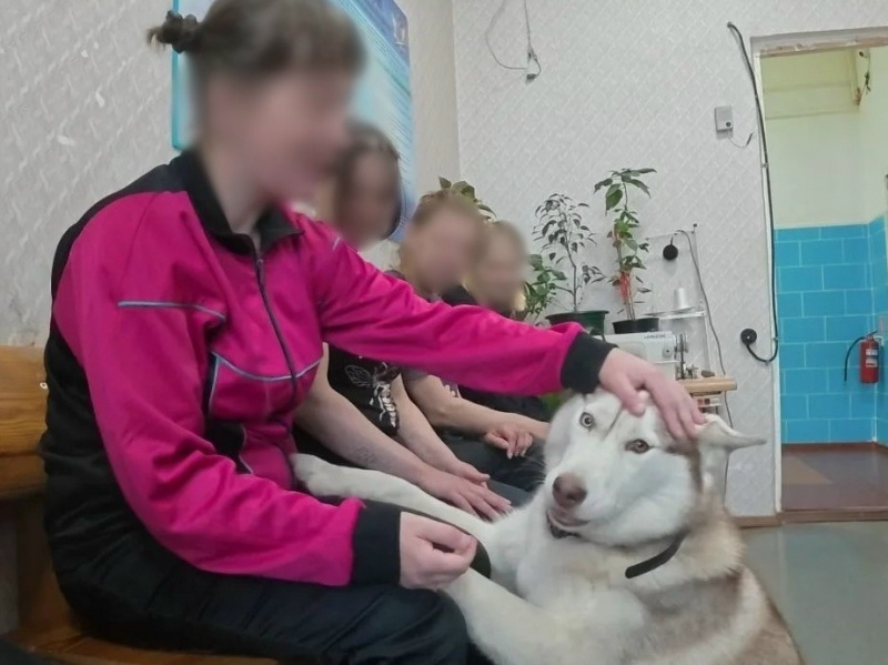    Хаски Мишель помогает осуждённым женщинам снять стресс в колонии КарелииУФСИН Карелии