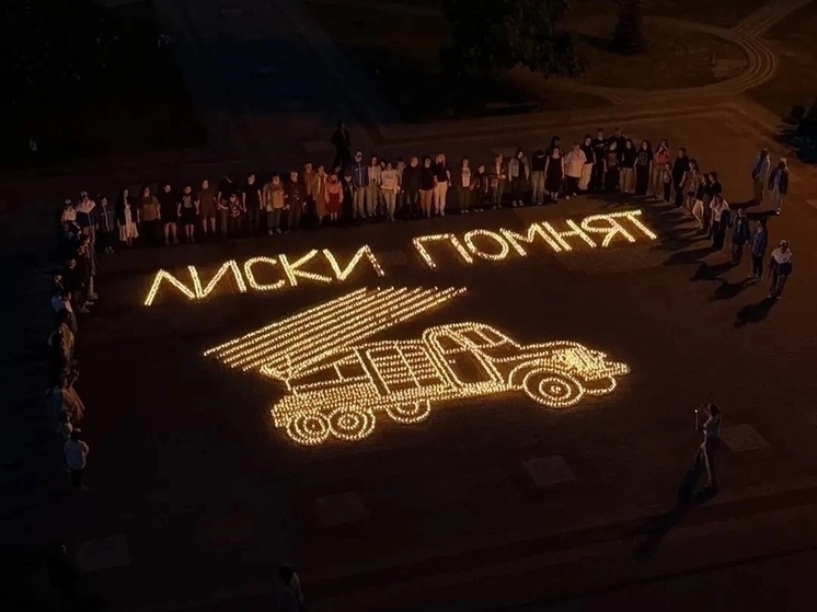     Фото: Администрация Лискинского муниципального района, https://vk.com/wall-182568522_8127