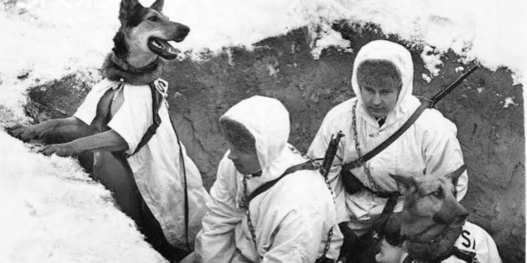 Как собака спасла двух русских разведчиц на войне
