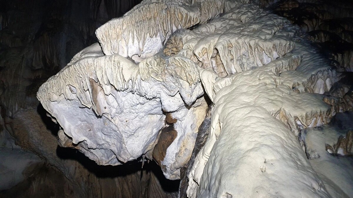    Дракон из Башкирии   https://vk.ru/shulgantashcave