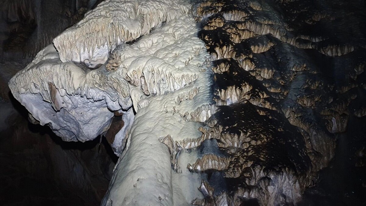    Дракон из пещеры   https://vk.ru/shulgantashcave