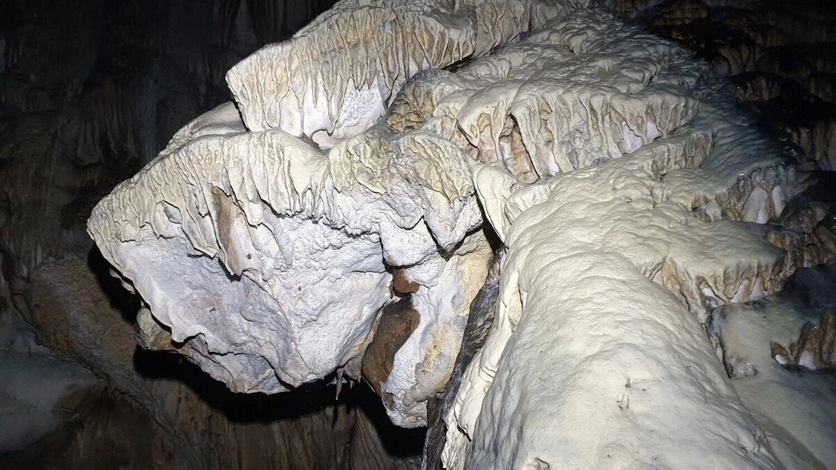    Дракон из пещеры   https://vk.ru/shulgantashcave