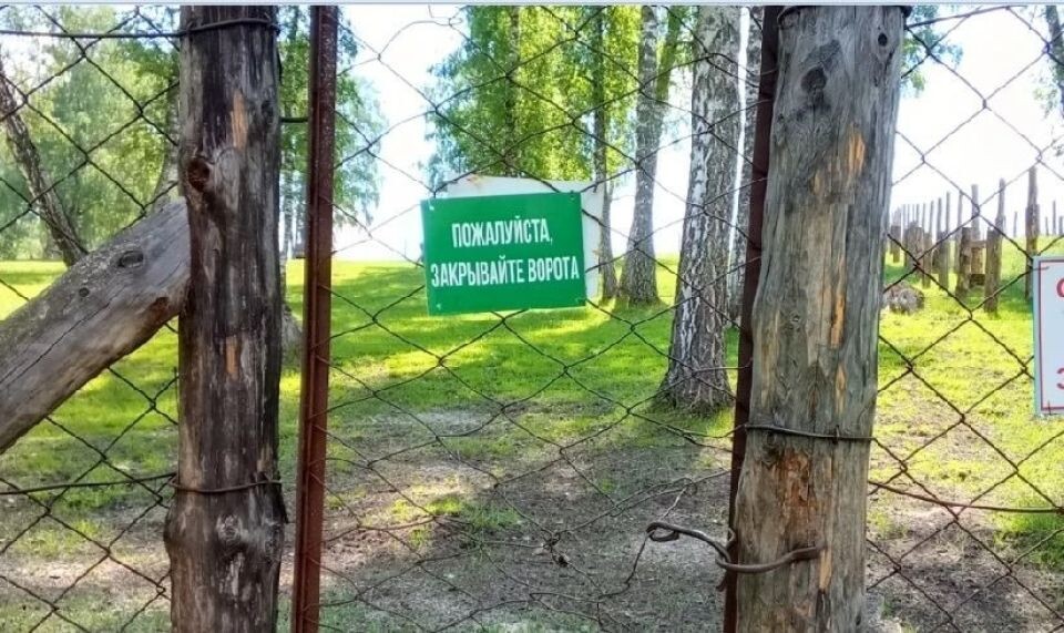    Зубровый питомник в Республике Алтай. Источник: Алтайский Россельхознадзор