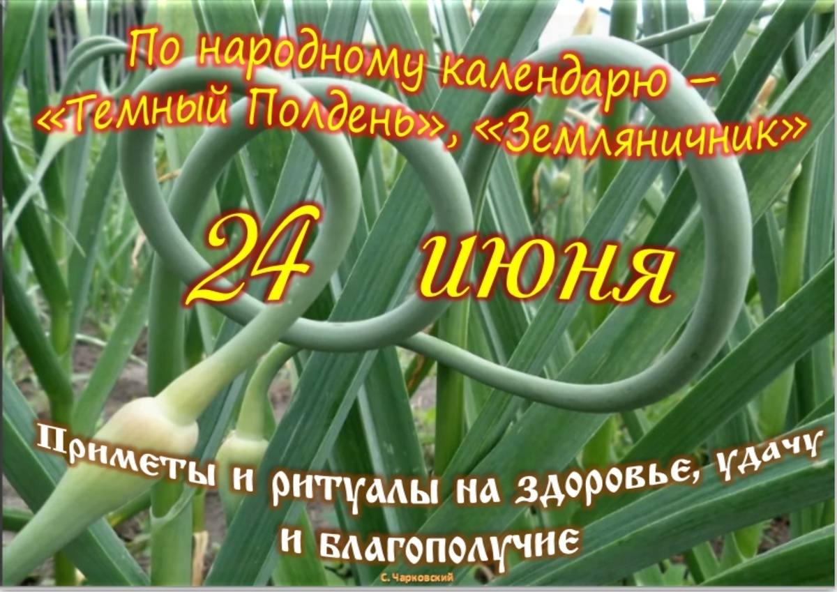 Встречаем новый день