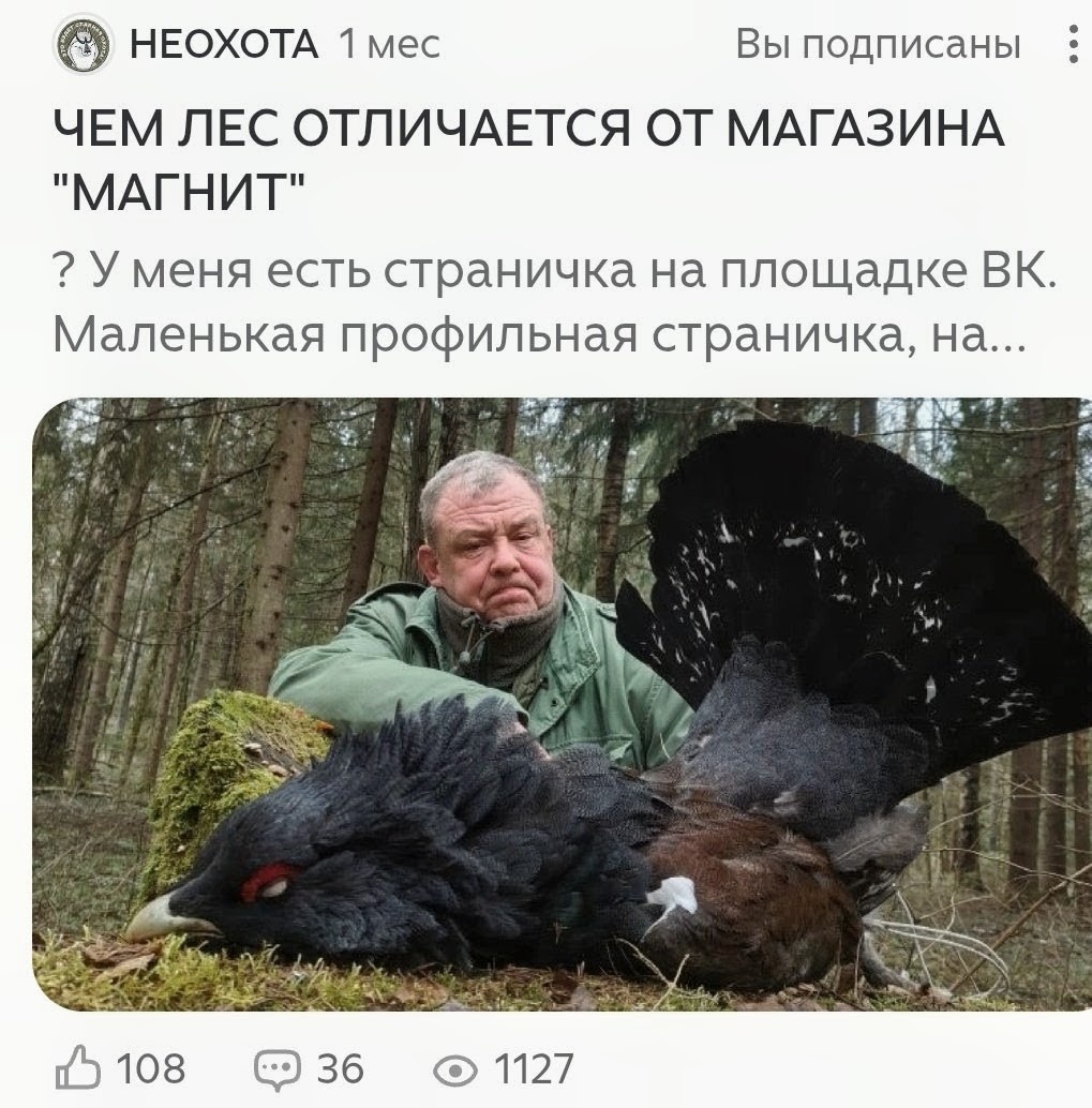 Фото из интернета.