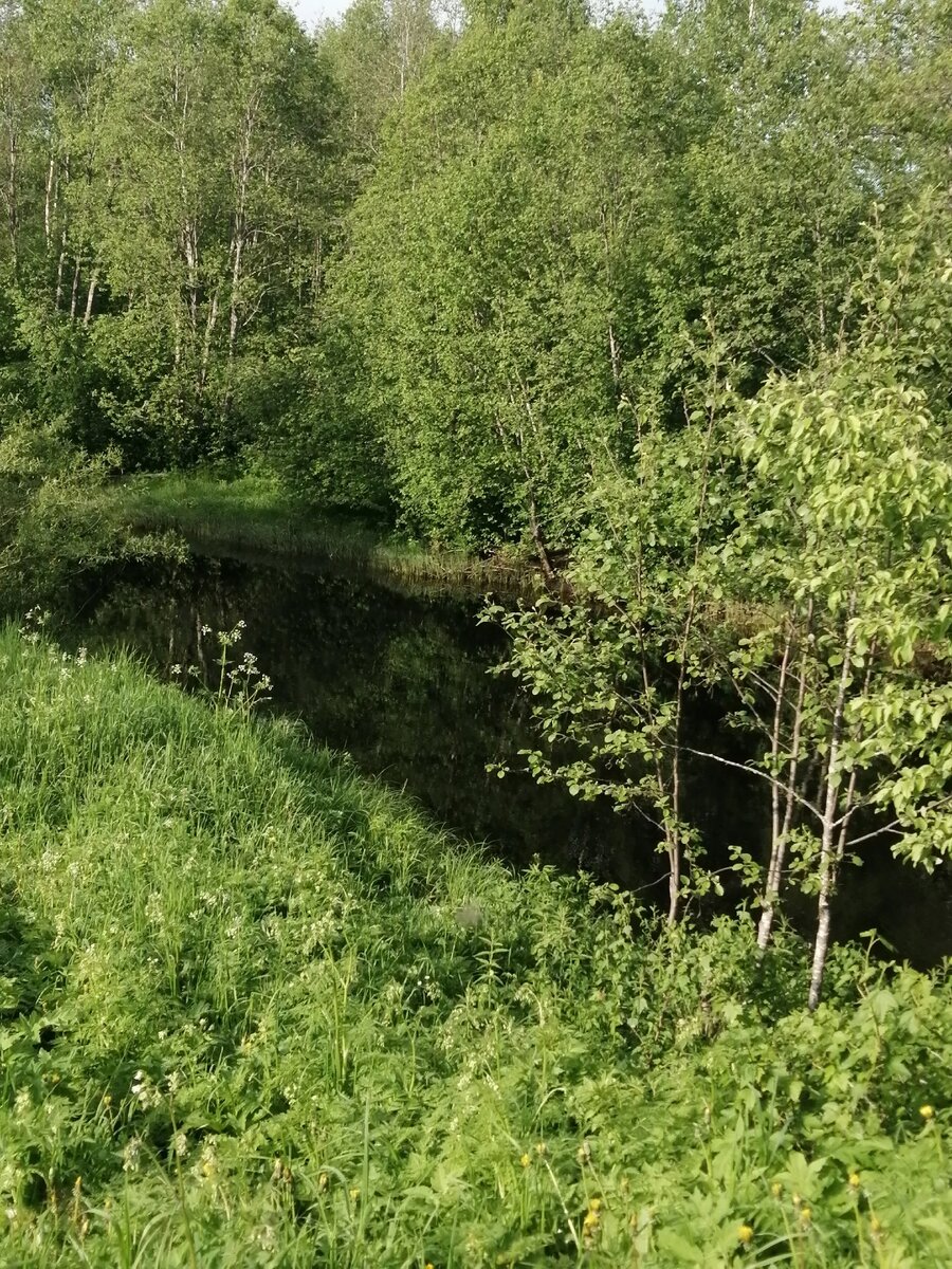 Наша Чёрмжа.