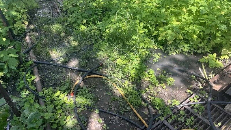    Стоки заливали частный сектор Фото: предоставила жительница Изобильного